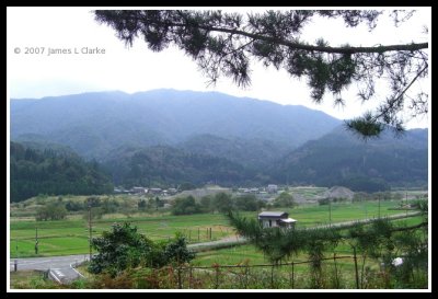 The View from the Temple