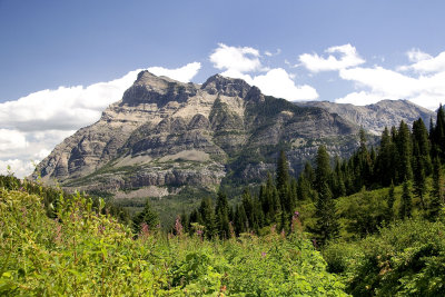On trail returning from Bertha Lake