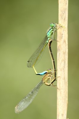 sized_IMG_3812.jpg