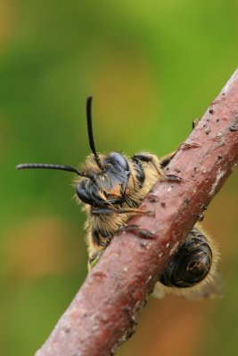 sized_IMG_6160.JPG