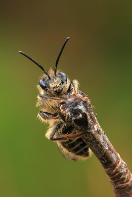 sized_IMG_6193.JPG