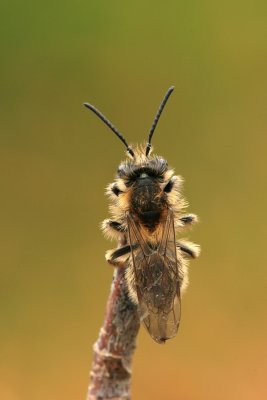sized_IMG_6197.JPG