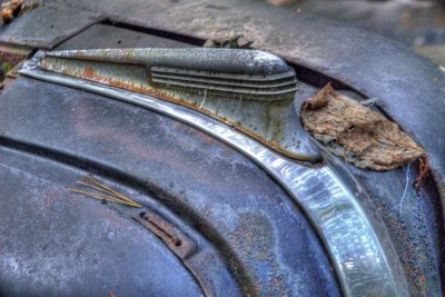 DSC_5811_tonemapped.jpg