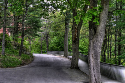DSC_8908_tonemappedSM.jpg