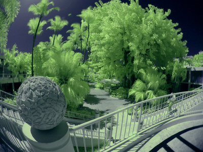 Fun with Infra-Red