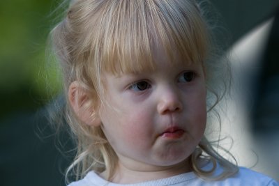IMG_2844a.jpg