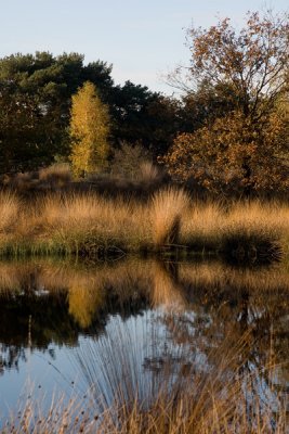 IMG_4090a.jpg