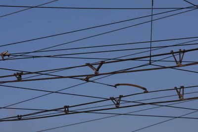 Wires ľice_MG_3458-1.jpg
