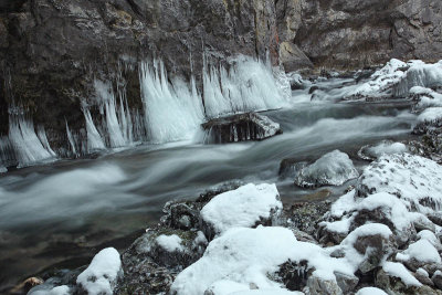 Stream Rak potok Rak_MG_5792-11.jpg