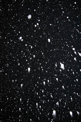 Snowing sneenje_MG_6370-11.jpg