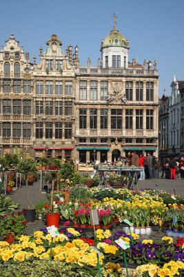 Grand place Grote markt_MG_8398-11.jpg