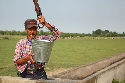 Herdsman at well pastir pri vodnjaku_MG_0080-11.jpg