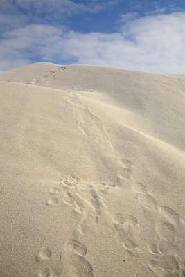 Sand pesek_MG_3078-11.jpg