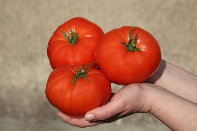 Tomato Solanum lycopersicum paradinik_MG_9098-11.jpg