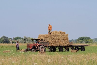 Farmers kmetje_MG_0440-11.jpg