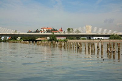 Lake Ptuj Ptujsko jezero_MG_9453-11.jpg