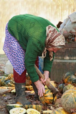 Work with pumpkins delo z bučami_MG_0176-11.jpg