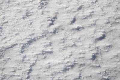 Snow and wind_MG_3431-1.jpg