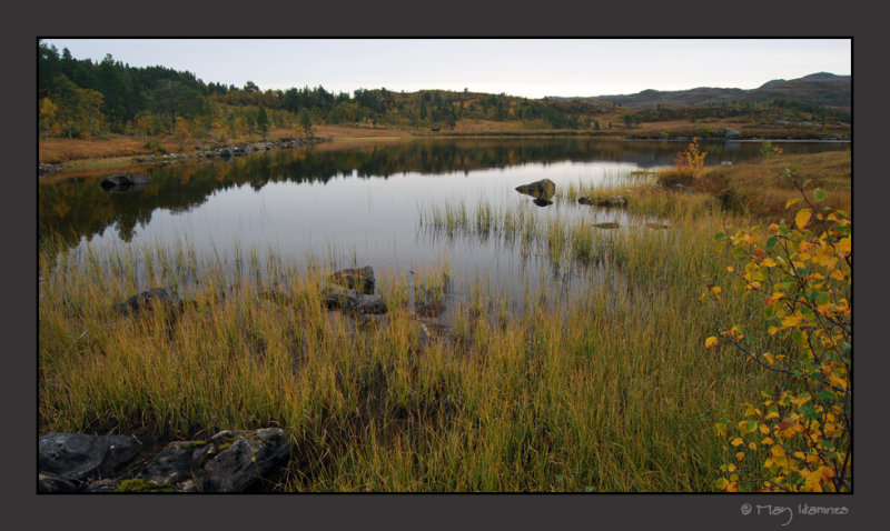 Svartvatnet #10