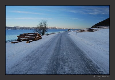 winter