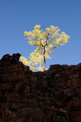 MacDonnell Ranges