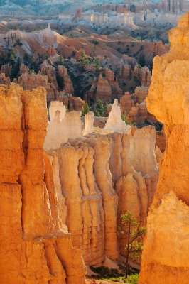 Bryce Canyon