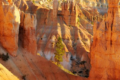 Bryce Canyon