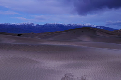 Early Morning at the Dunes after the Rain