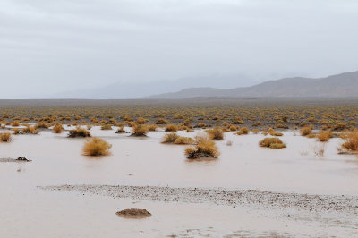 Rain in Death Valley