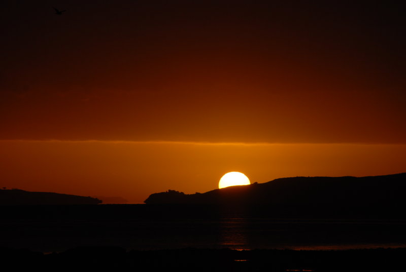 here comes the sun