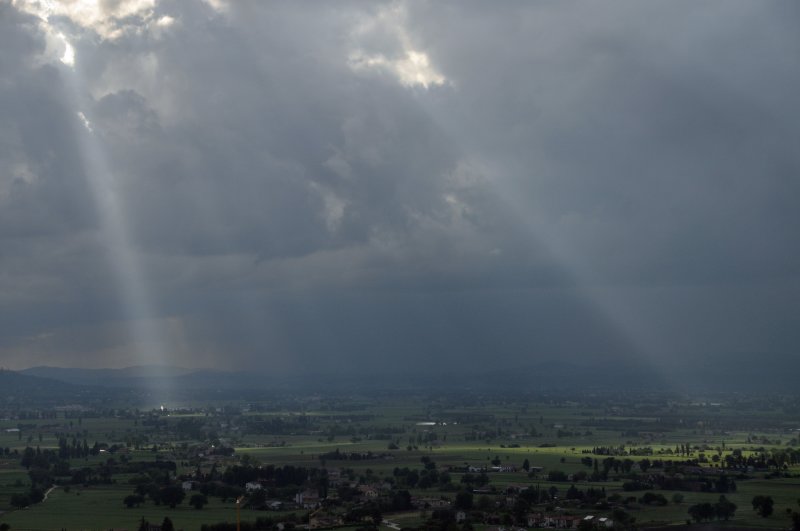 sunbeams