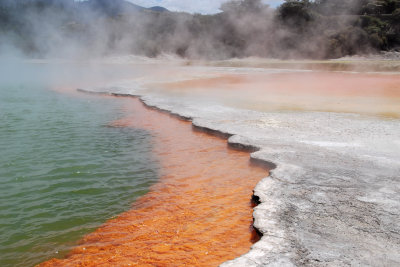 champagne pool