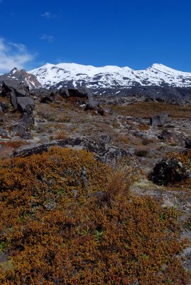 Ruapehu