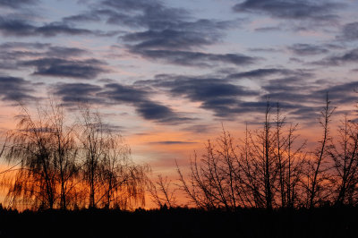 greeting the day