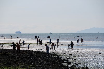 low tide