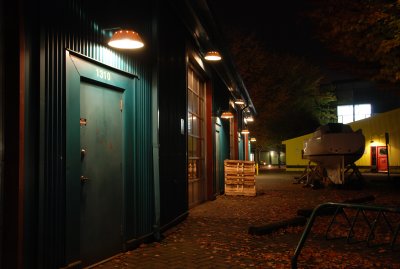 autumn night