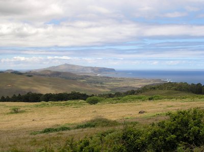 Easter Island, Isla de Pascua, Rapa Nui......at last