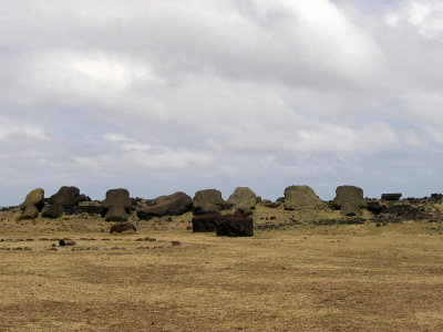 toppled Moai at Ahu Akahanga.....