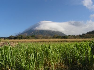 beyond a sugar cane field looms Volcan Concepcion.....