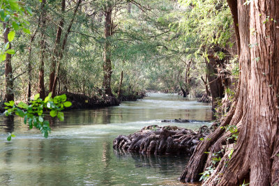 Rio Corona