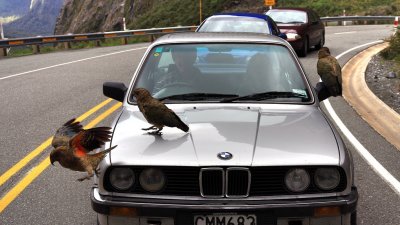 IMG_0982.jpg