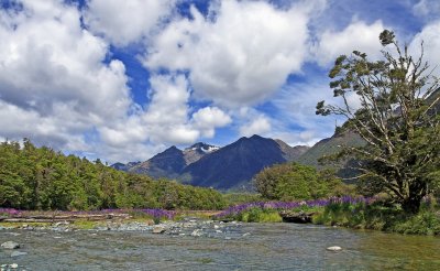 IMG_0606.jpg