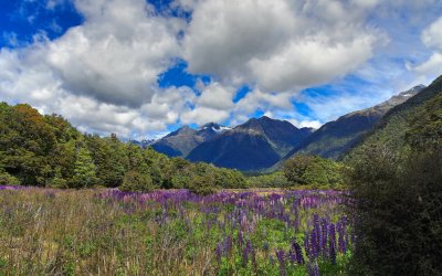 IMG_0598.jpg