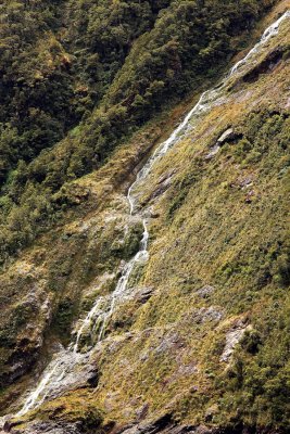 IMG_1047.jpg