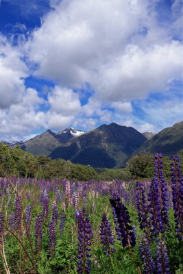 IMG_0603.jpg