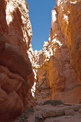 IMG_0525.jpg