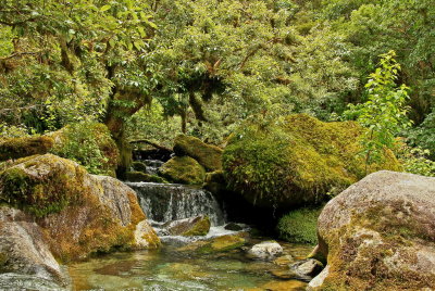 Marian Creek.jpg