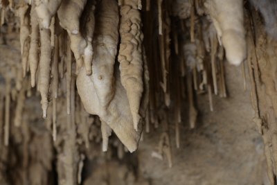 Cumberland Caverns, TN