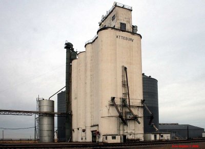 Amarillo - Attebury Grain.
