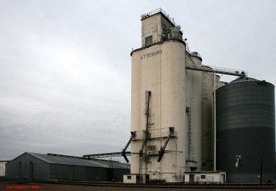 Amarillo - Attebury Grain.